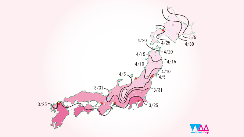 Weathermap預測大阪櫻花與3月25日開花