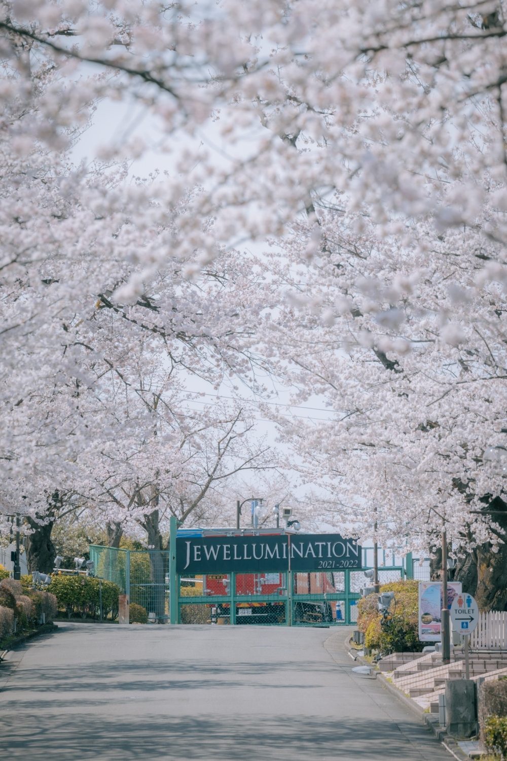 為了讓遊客可盡情享受樂園內的遊樂設施，讀賣樂園更特別推出「半日票價」。遊客可於3pm後入園，玩轉遊樂設施無限次乘坐優惠體驗。