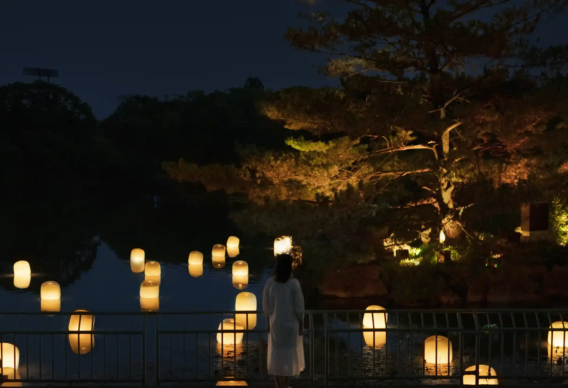 Team Lab 利用燈光與自然結合，打造出沉浸式藝術體驗！