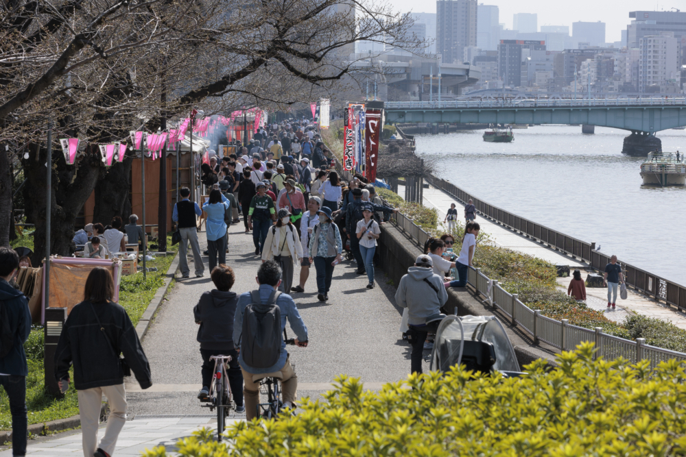 每年春天，隅田公園其中一大重頭戲就是櫻花祭，一般於3月下旬至4月上旬登場。