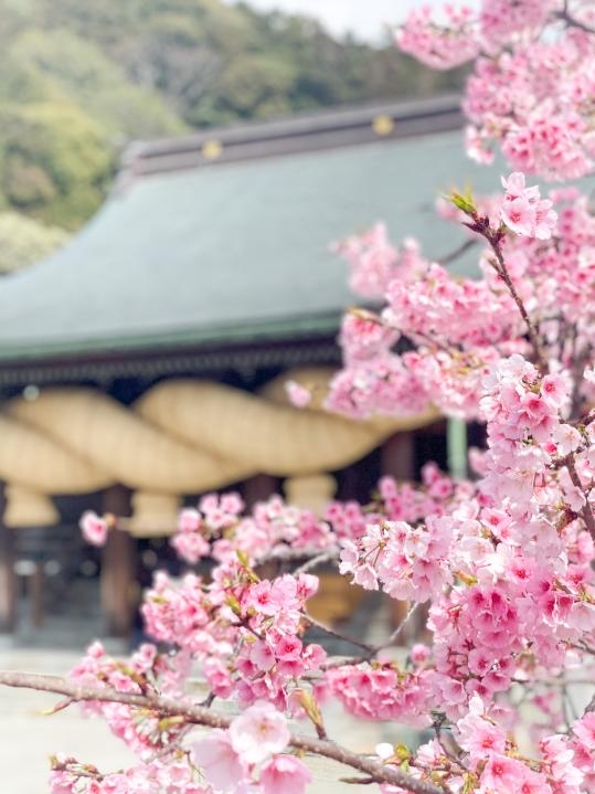 宮地嶽神社四季皆有繽紛花卉點綴,展現不同風貌。