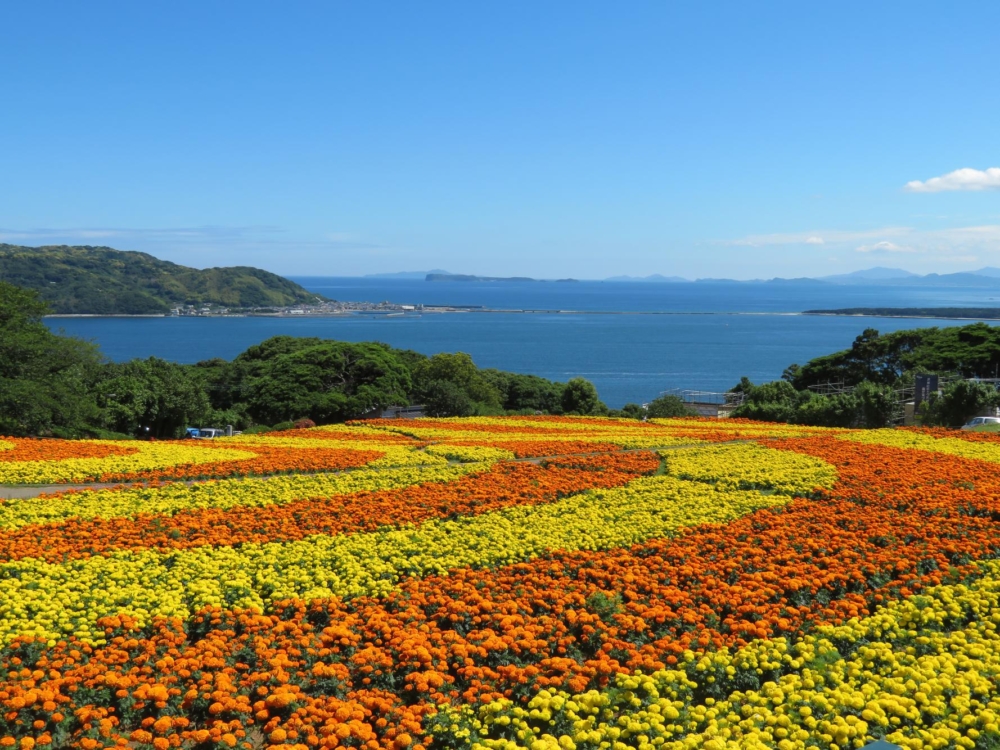 能古島海島公園四季花卉交替綻放,讓每個季節都有不同的美景。