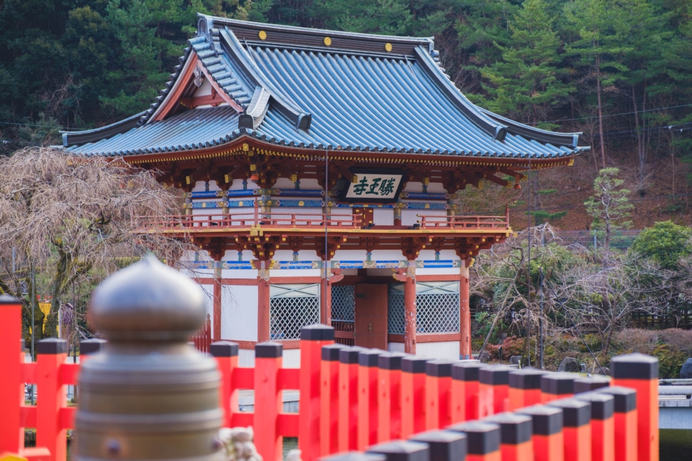櫻花下的日式欄杆，文青風滿滿！