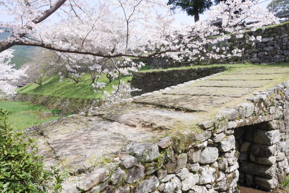 秋月位於福岡縣中部,擁有千年歷史,被譽為「筑前小京都」,其古老街道展現出日本的原始風景。