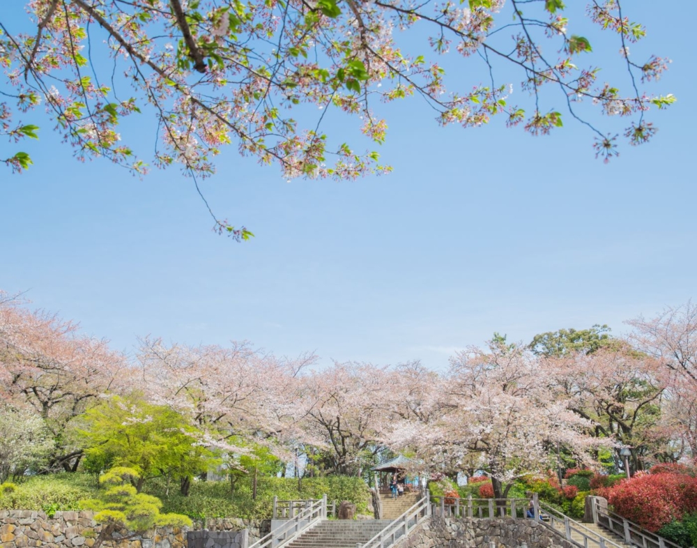 飛鳥山公園。