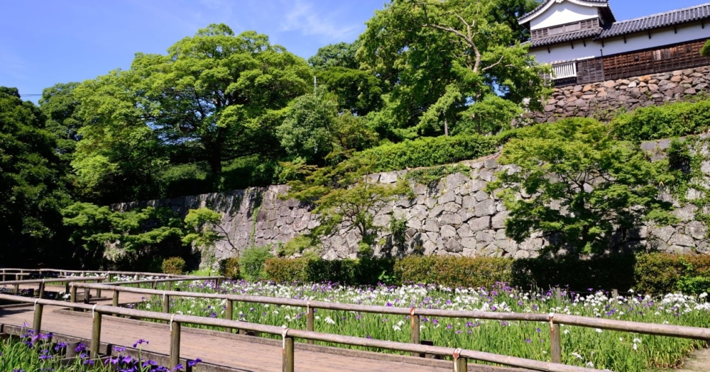 舞鶴公園