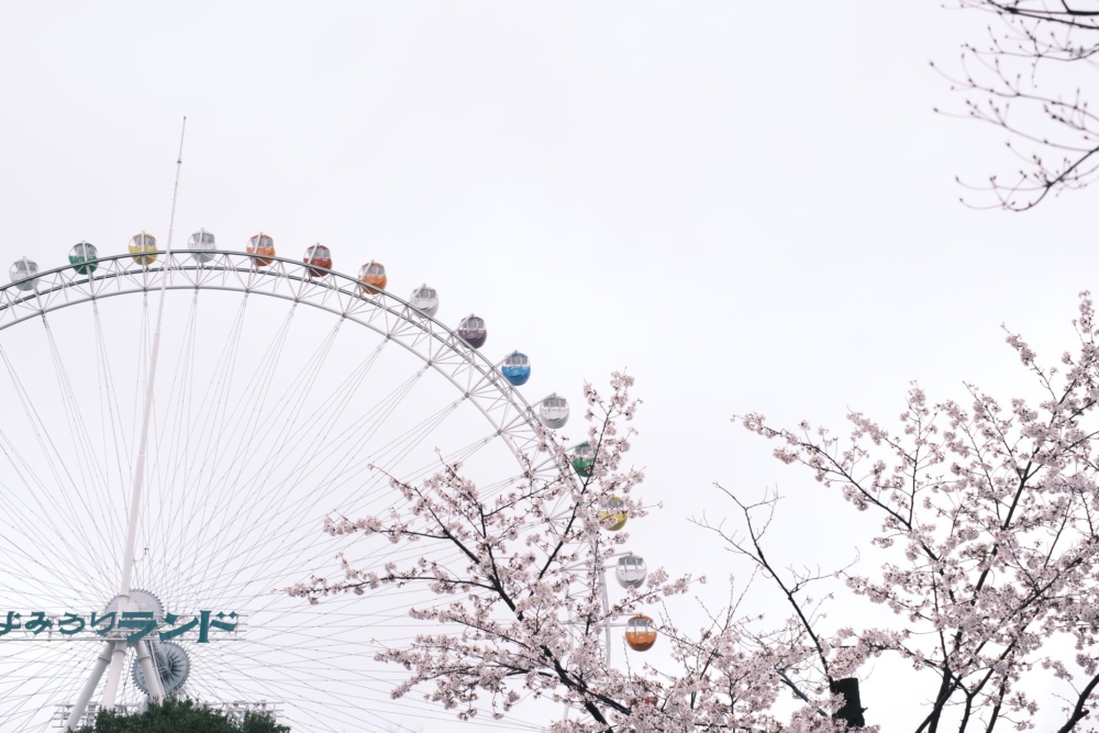 從約60米高的摩天輪，不但可俯瞰到整個樂園的櫻花，更能將整個東京景色一覽無遺！