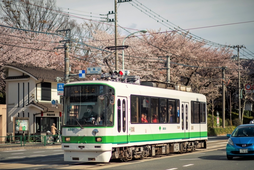 來飛鳥山公園賞櫻,推薦一定要乘搭路面電車「都電荒川線」,更可以拍到櫻花與復古路面電車同框的獨特景色~