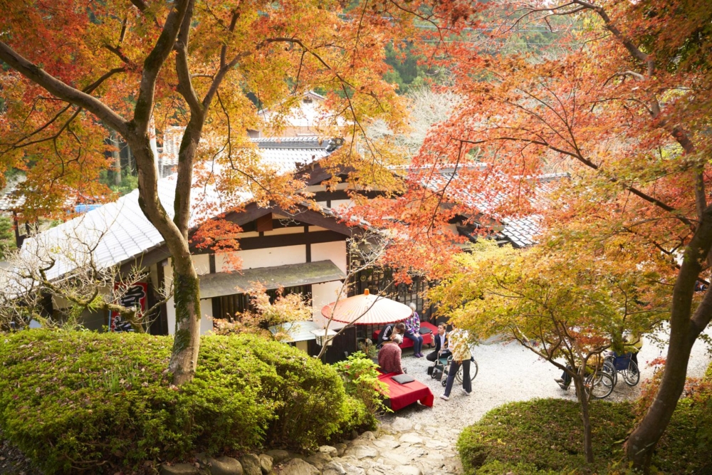 這片區域仍保留著江戶時代的古樸街景,並被指定為國家重要傳統建築物保存地區,成為漫步賞櫻、探訪歷史文化的絕佳去處。