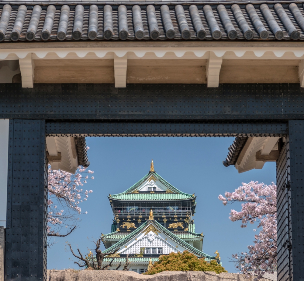透過城門遠眺大阪城，櫻花點綴的景色超有意境！