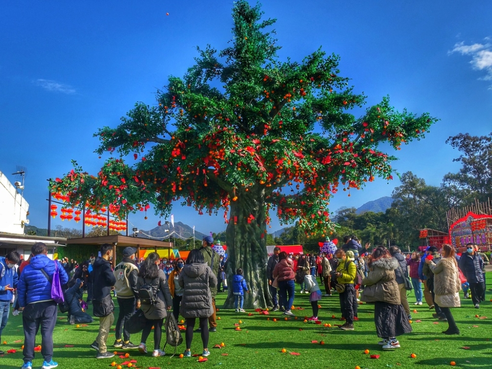 大埔林村許願樹向來是很多港人農曆新年祈福打卡勝地！
