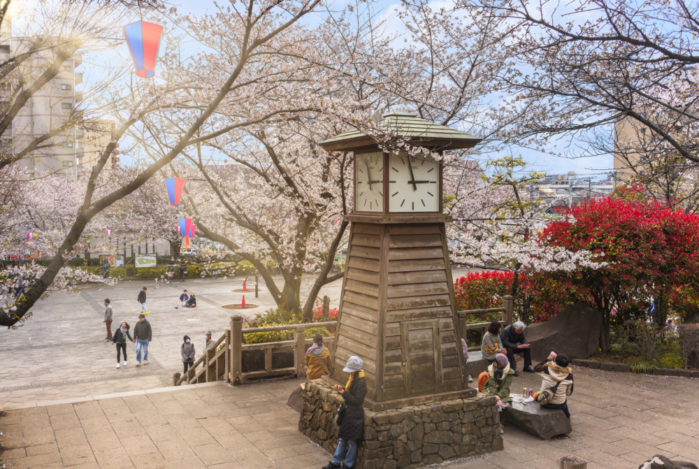 飛鳥山公園從江戶時期起就是人氣賞櫻花景點。