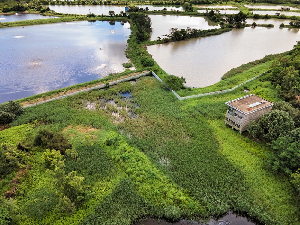 兩層觀鳥屋外，有多個基圍和魚塘。