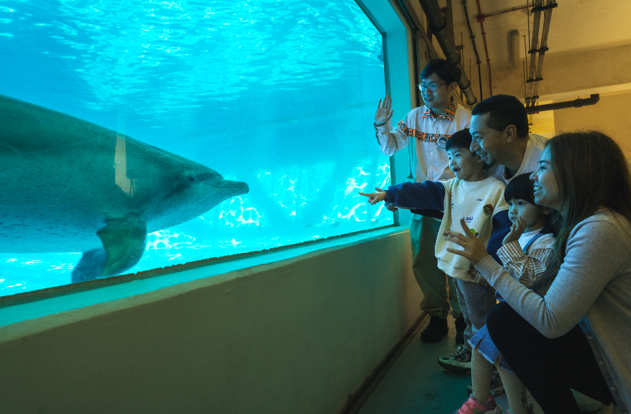 海洋哺乳動物繁殖及研究中心是海洋公園的海豚護理總部，威威村民將特別帶大家走入總部基地，近距離觀察精靈活潑的海豚，深度了解這班聰明「豚」友，探索基地背後的動物護理和保育工作，認識如何保持海洋清潔，守護海豚的家園！
