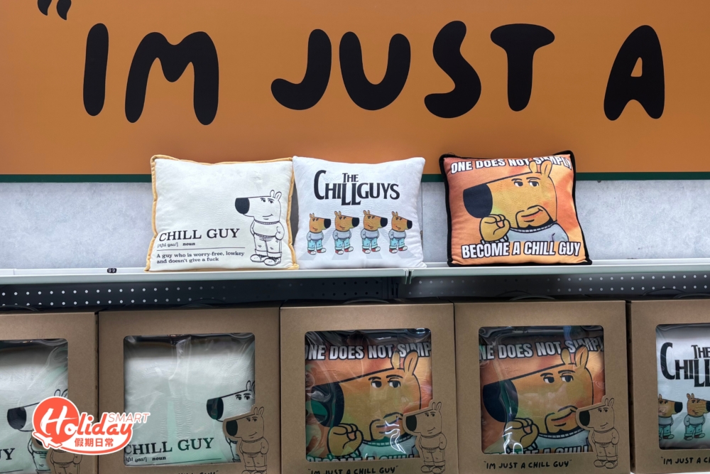 Chill Guy攬枕。