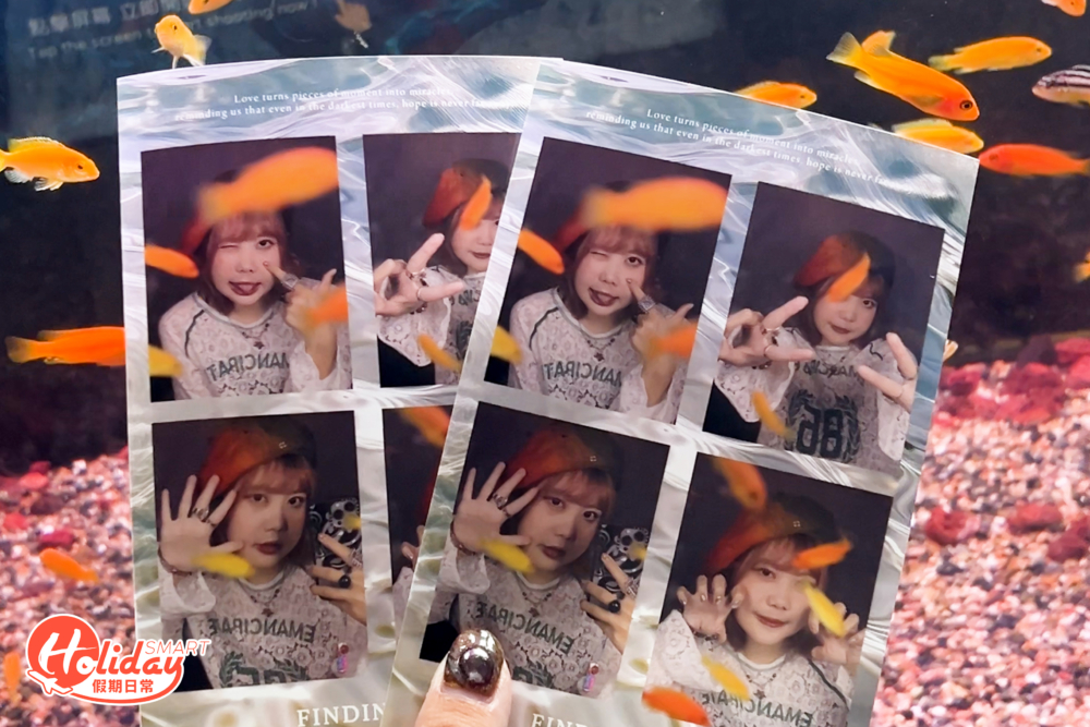 韓國早前爆紅的魚缸主題四格相，終於輪到香港有！