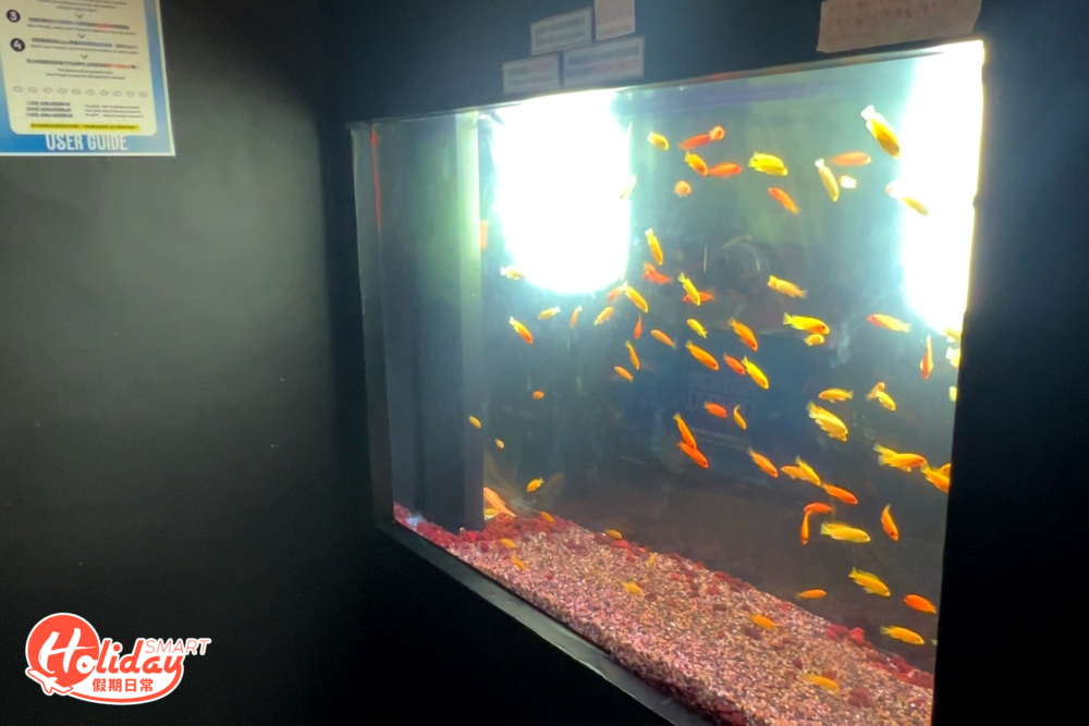 水缸內大部份都是迷你的橙色魚，似乎亦不如韓國的魚缸主題四格相般多種類，但幸好拍起來依然很有夢幻氛圍感。