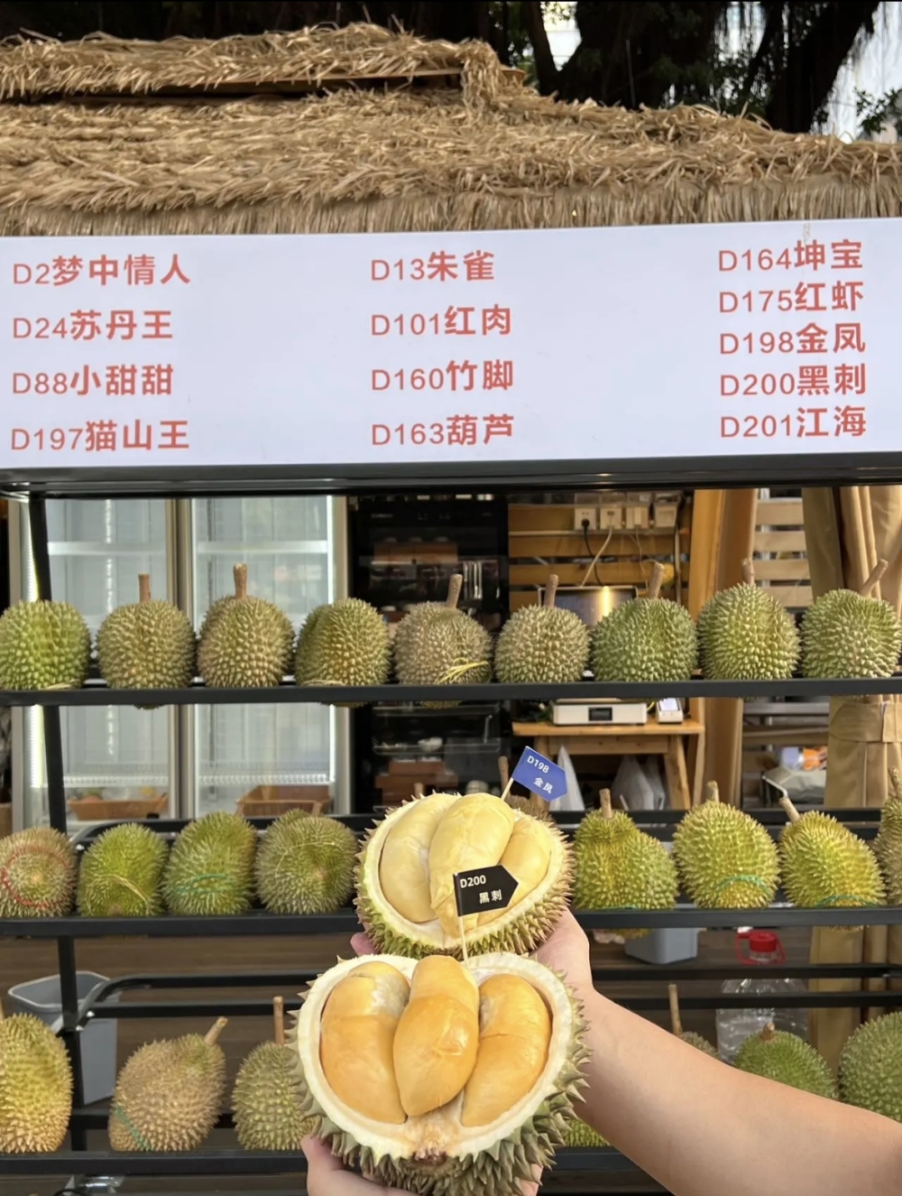 馬來西亞當地有貓山王、黑刺、葫蘆、紅蝦、竹腳、金鳳等等品種全部都有