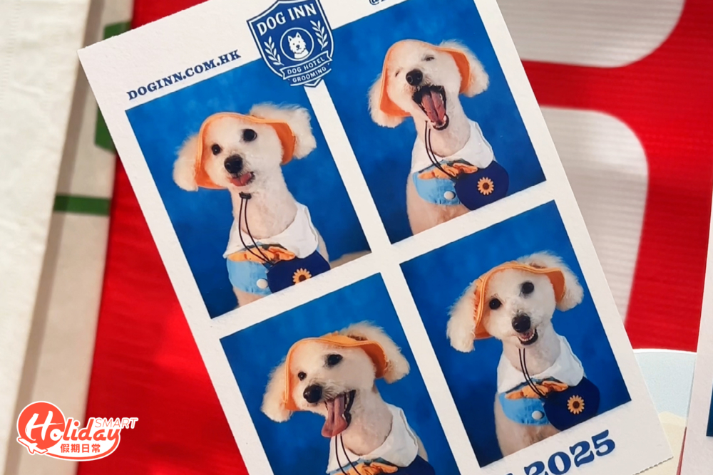 寵物證件相都可以免費影。