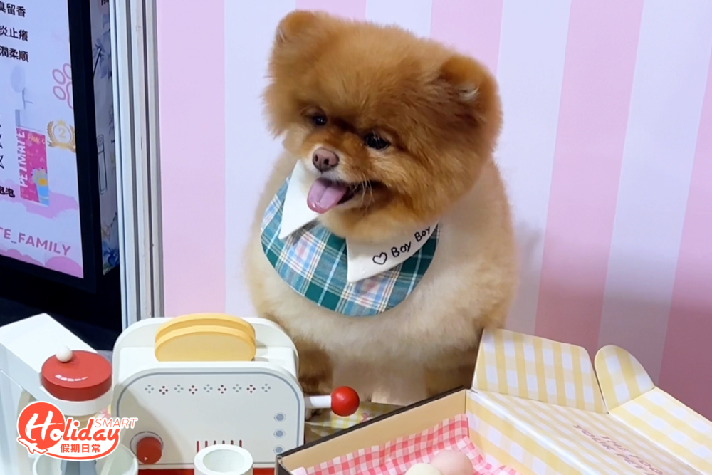 優質寵物用品展由即日起至6月8日舉行。