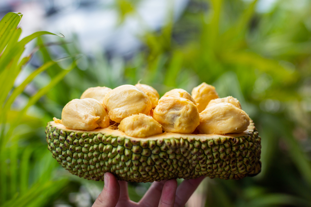 美麗華酒店榴槤自助餐