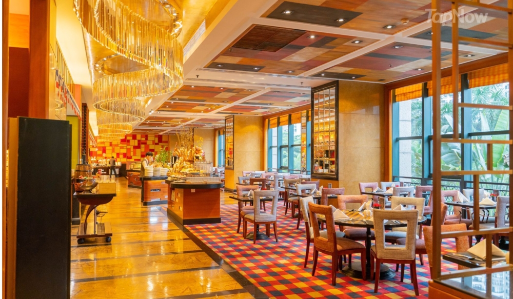 餐廳環境典雅,設計上融合了捷克水晶吊燈、格子主題裝飾與典雅屏風,獨特的藝術格調。