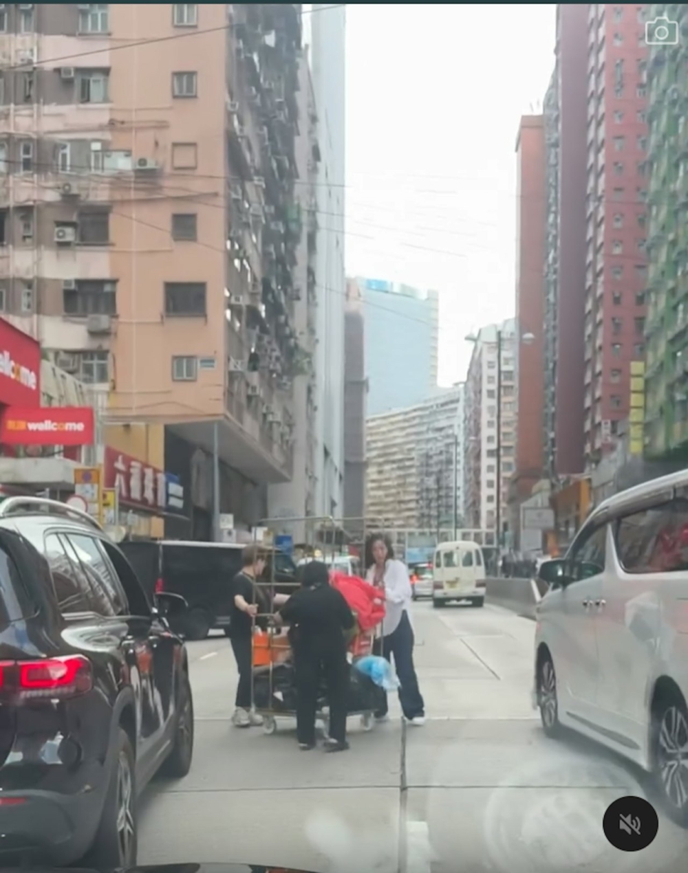 另外亦有人認為認為樓主可能誤會唐詩詠意圖