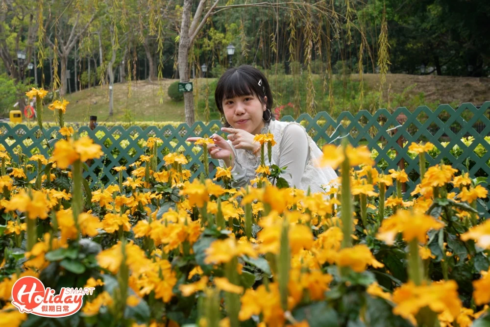 公園以中式園林風格設計，園內有假山、涼亭和大型人工湖