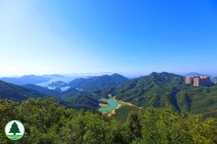 大潭水塘是集自然美景與歷史古蹟於一身的熱門行山好去處。