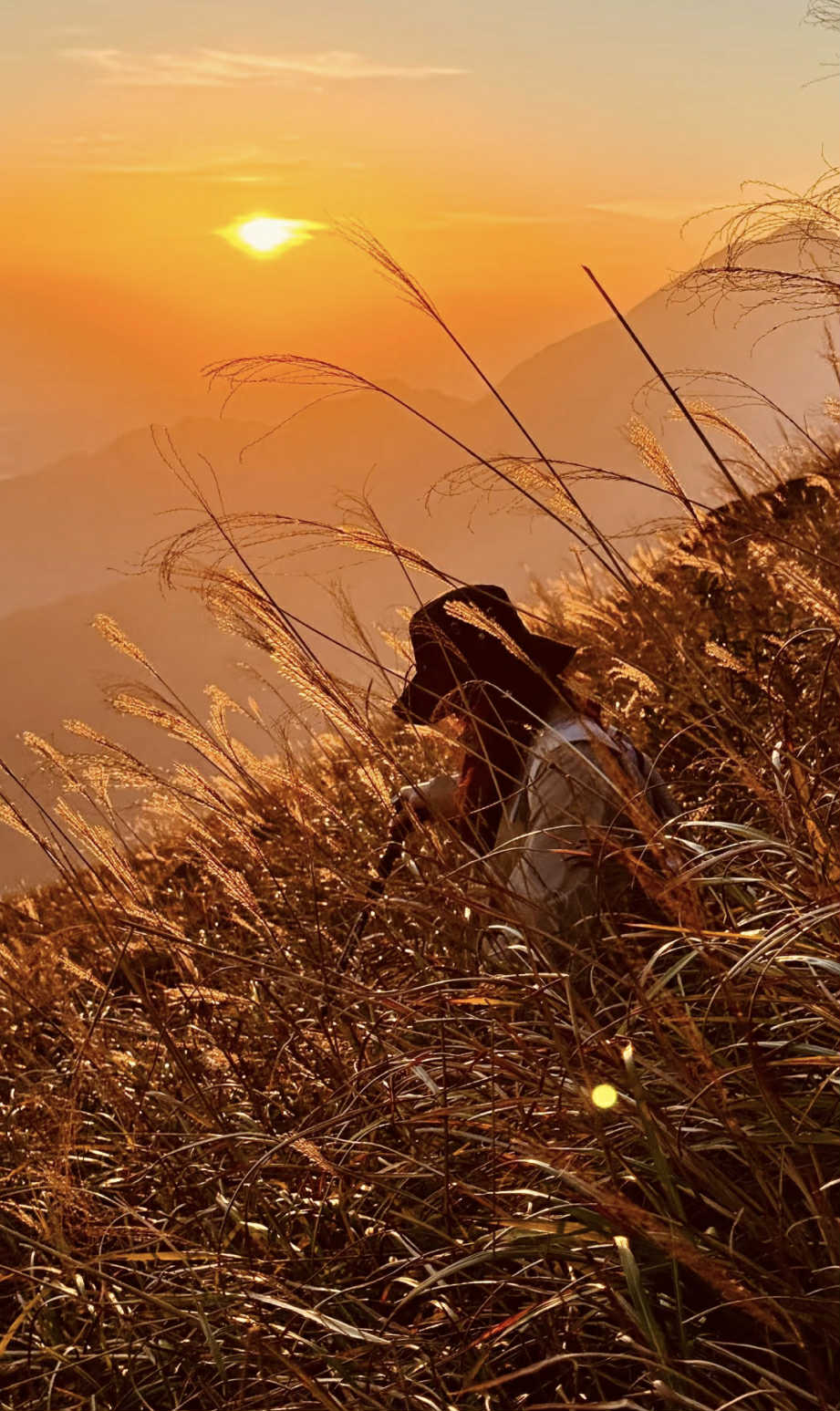 不論是去大東山行山、觀賞芒草、欣賞日落，或體驗露營，行前準備充足都非常重要！