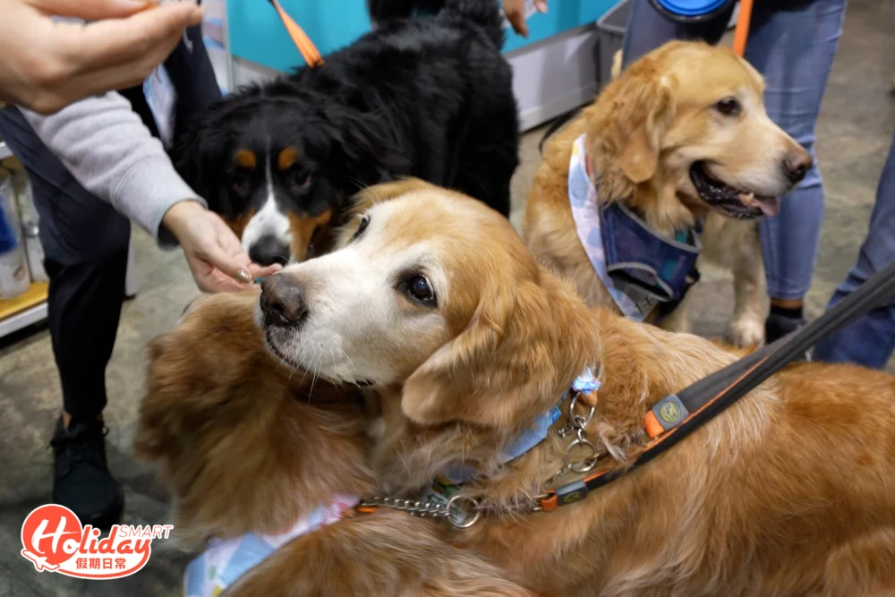 整個會場擠滿了帶毛孩來「朝聖」的家庭！