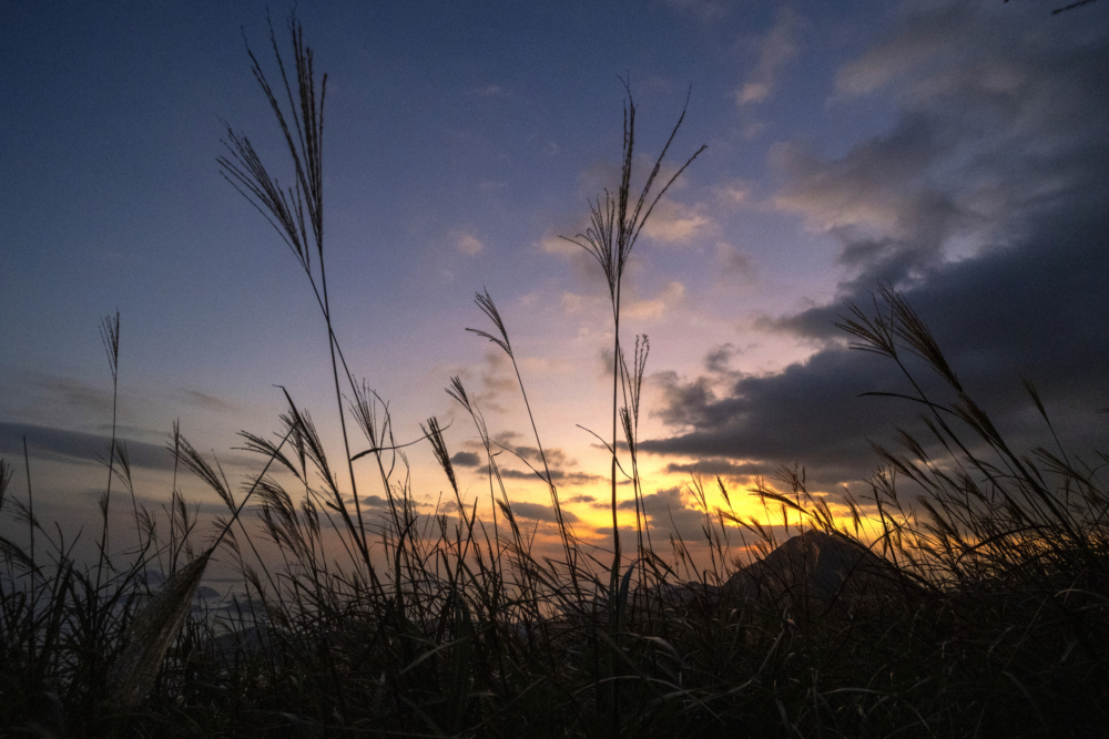 大東山是香港人氣露營熱點之一，特別在秋冬季最受歡迎！