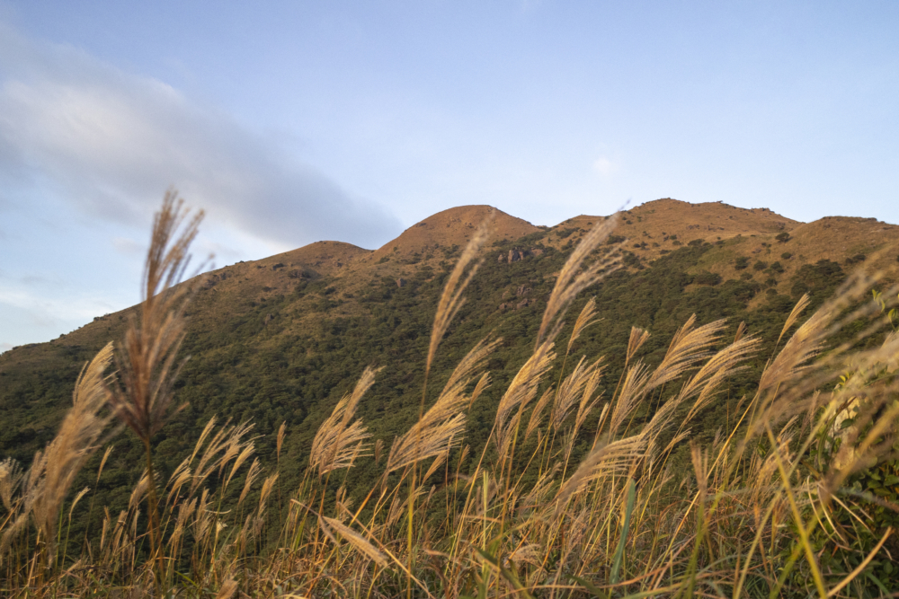伯公坳是登上大東山最常見的起點之一，位於東涌和南山之間的山坳，海拔約340米。