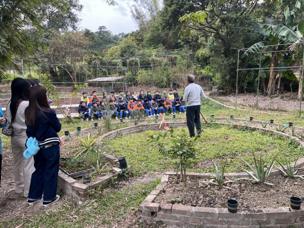 假日農場結合了自然教育與鄉村遊樂，讓人遠離城市塵囂，享受田園樂趣。