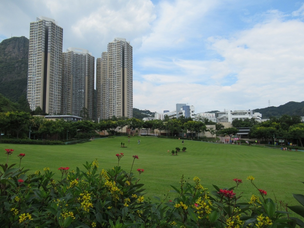佐敦谷公園於 2010 年後轉型為區內最大的市區公園