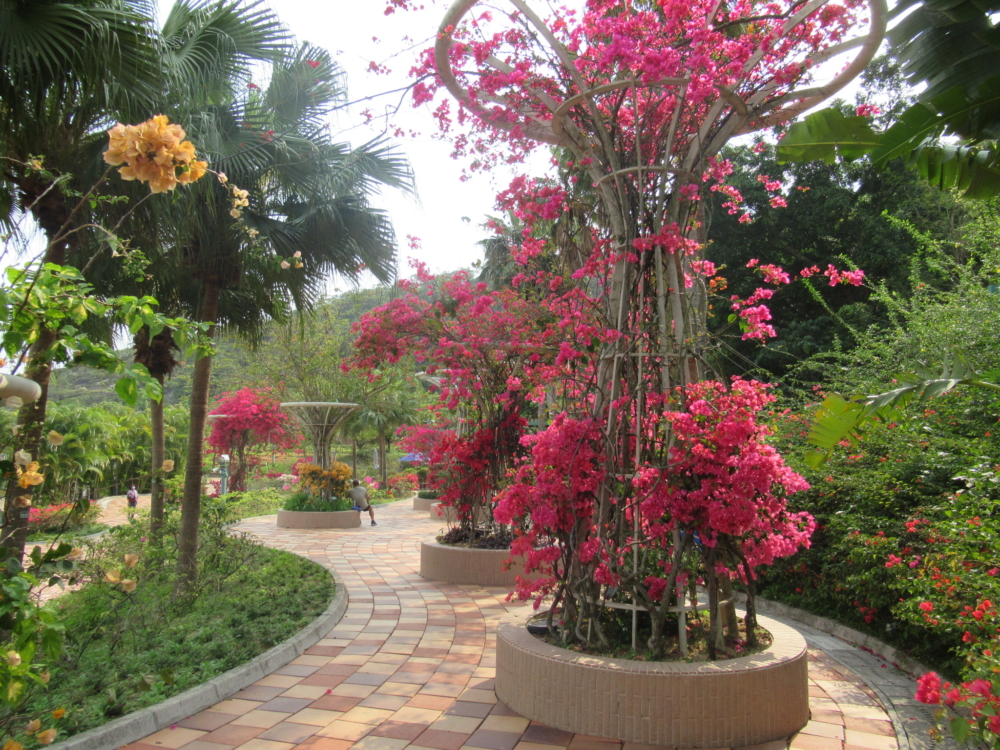 公園內還有幾個特色花園，包括迷宮花園、四季花園和簕杜鵑園