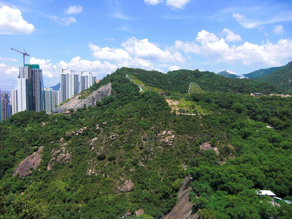 平山行山行程只需30分鐘即可登頂，非常適合新手