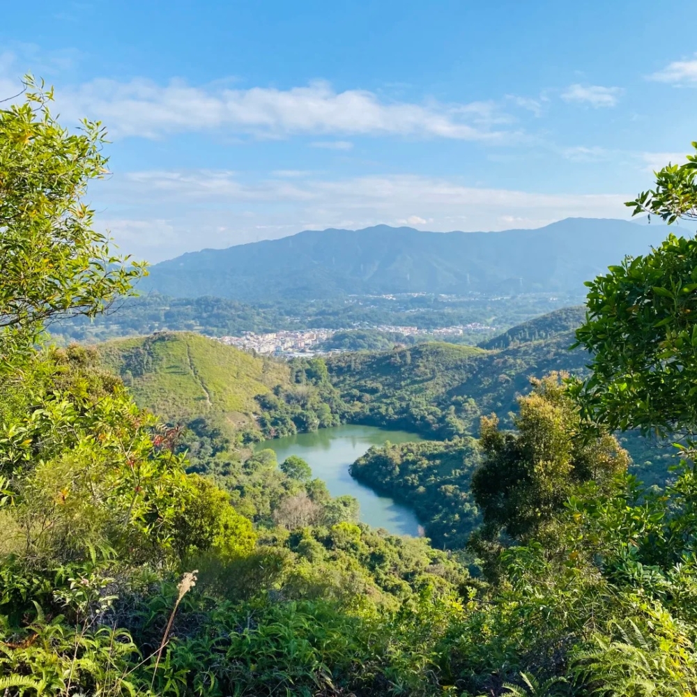 古洞心形湖因俯瞰時湖面呈心形而得名「港版心形湖」