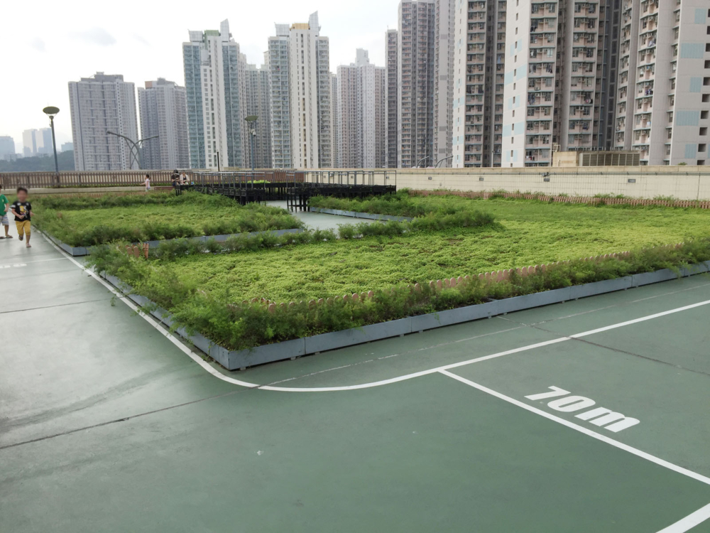 空中花園是不少文青與家庭拍照、放鬆的首選景點