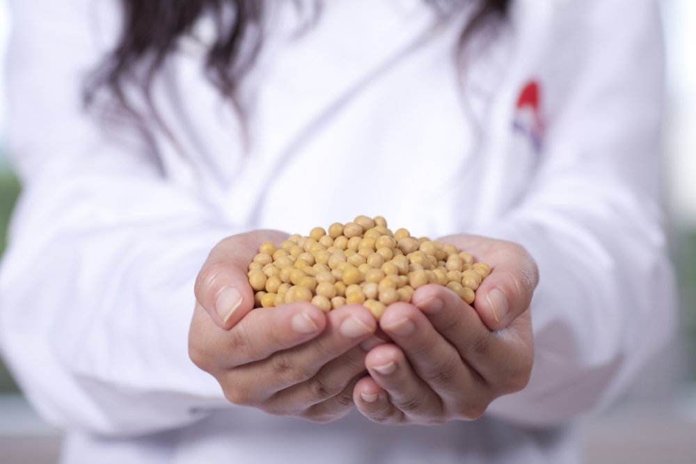 過程中餘下的豆渣可以轉化成有機肥料及飼料,一點也不浪費!