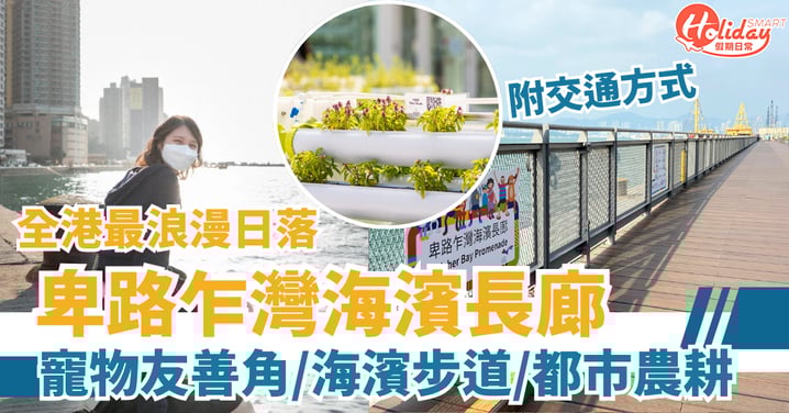 卑路乍灣海濱長廊：被譽為全港最浪漫日落！寵物友善角/海濱步道/都市農耕，附交通方式