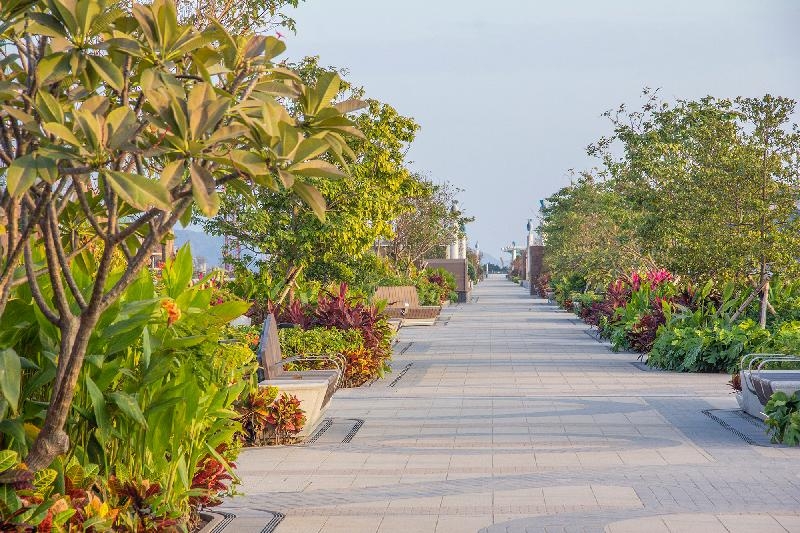 啟德空中花園建於前啟德機場舊跑道上的高架綠化步道,全長1.4公里,貫通整個跑道區