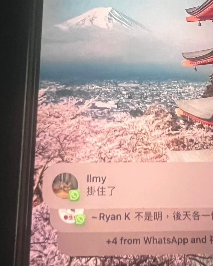 有網民猜測「L-M-Y」或許就是李文意的英文名字簡稱。