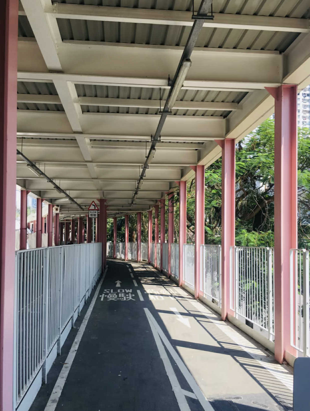 沙田好去處推介:大圍粉紅天橋。