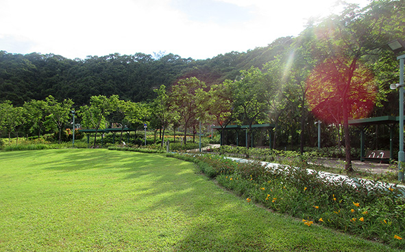 公園設有多條緩跑徑，全長逾 1 公里，適合晨跑與散步