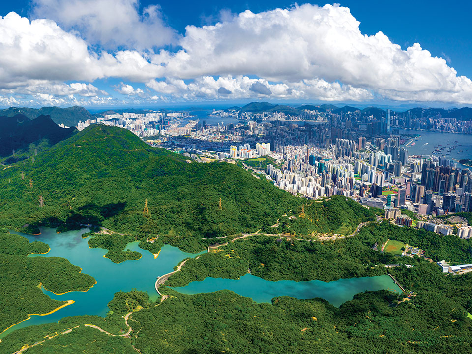 鷹巢山自然教育徑位於獅子山郊野公園,是一條十分適合新手山友的輕鬆路徑。