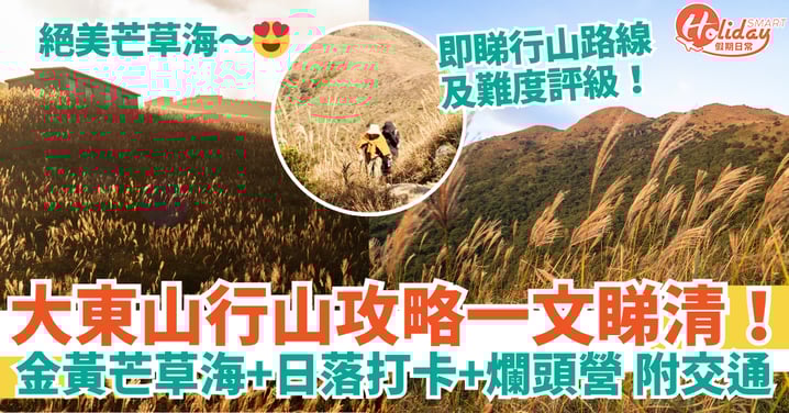 【大東山行山攻略2025】金黃芒草海/日落打卡/爛頭營!路線+難度評級+交通一文睇清