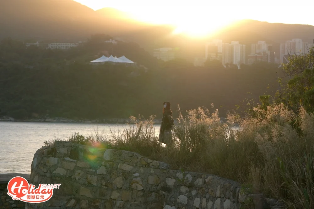 鯉魚門石礦場秋冬季最適合來這裡賞芒草！