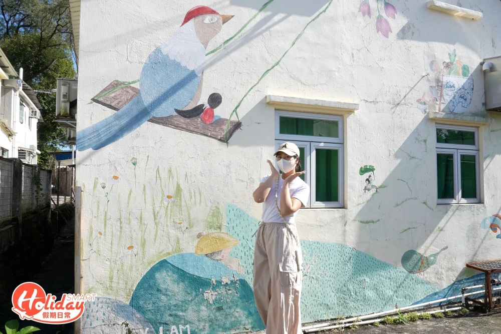 坪輋的坪洋新村自2014年起因社區計劃而繪製了繽紛的壁畫，村內圍牆上畫滿了龍貓、皮卡丘等可愛卡通以及本地生活場景，非常適合拍照