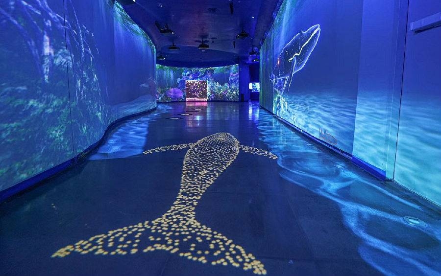 佔地3,300平方米，館內超夢幻。